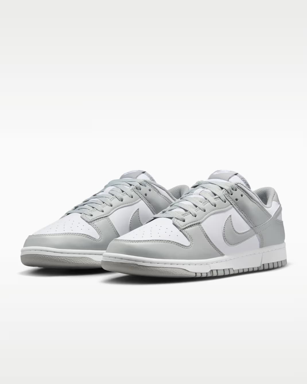 Nike Dunk Low — Retro 5